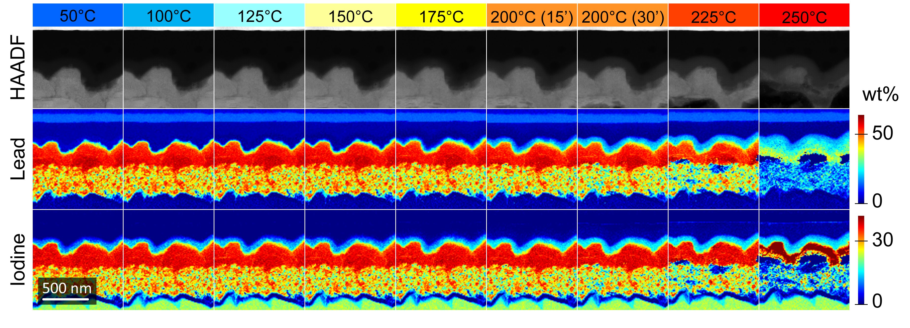 EDX monitoring of elemental diffusion under in situ heating