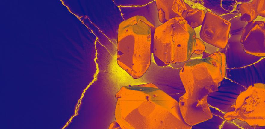 SEM image of MOF crystals